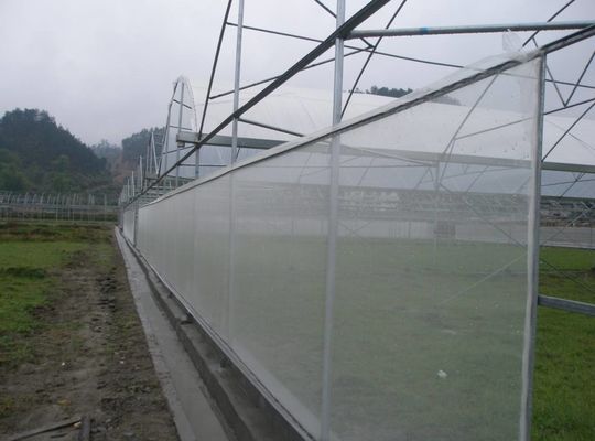 30-150G Réseau d'ombrage de serre HDPE protection UV et filet anti-insectes pour lutte contre les ravageurs