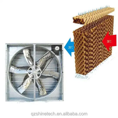 Ventilateur d'échappement à large débit d'air pour système de ventilation de la serre de la volaille 60 kg