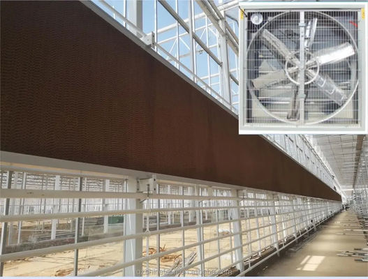Ventilateur d'échappement à large débit d'air pour système de ventilation de la serre de la volaille 60 kg