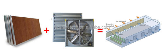 Ventilateur d'échappement à large débit d'air pour système de ventilation de la serre de la volaille 60 kg