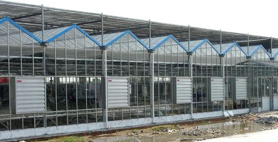 380/220V Industrie avicole Ventilation de serre Ventilateur d'échappement et plateau de refroidissement