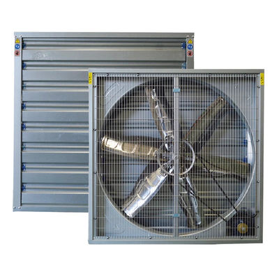 Ventilateur d'échappement à marteau lourd monté sur le mur pour système de refroidissement des poulets de poule